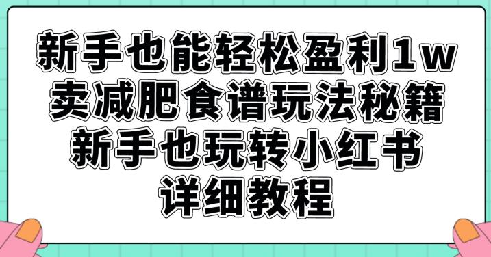 小白也能轻松盈利1W，卖减肥食谱玩法秘籍，新手也玩转小红书详细教程【揭秘】