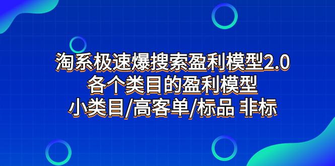 淘系极速搜索盈利模型2.0，揭示各类目标品和非标品的盈利模型，发现小类目的高客单秘诀