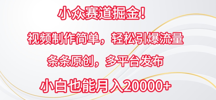 小众赛道掘金，原创视频制作简单，条条轻松引爆流量，多平台发布【揭秘】