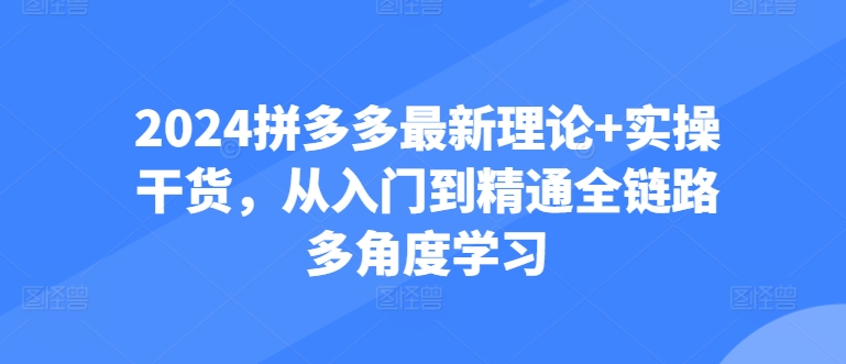 2024拼多多进阶宝典：从防比价到自然流，全攻略实操教学